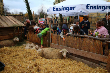 Stuttgarter Ostergarten 2018